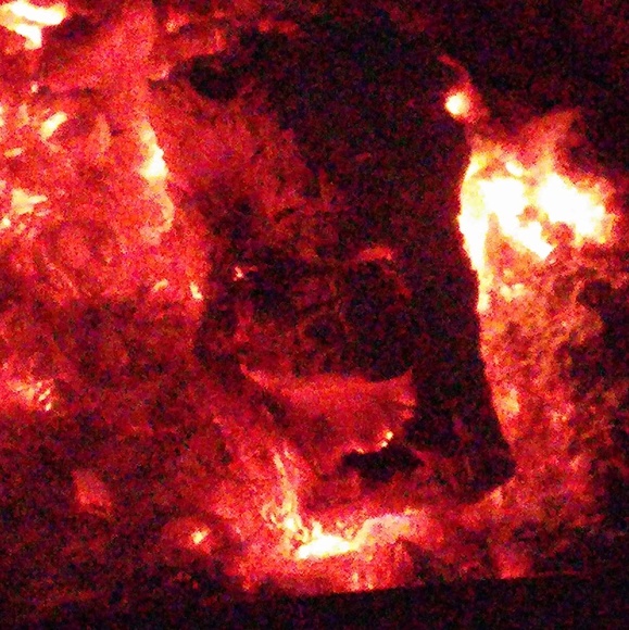 ๐ป๐Michelle๐๐ป - Picture 5 of 8